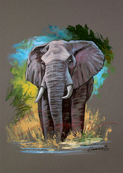 An elephant with colorful graphics behind it.